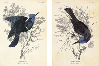 Illustration for article titled Catching Fire concept art of the Rue mural and Audubon-style Jabberjays